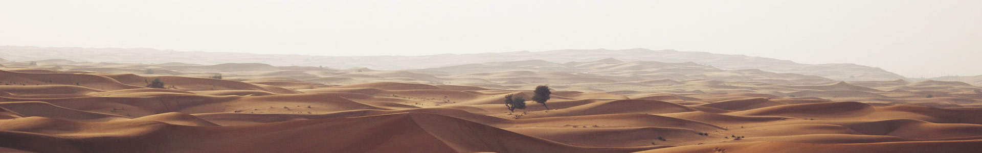 ɽĹ޹˾